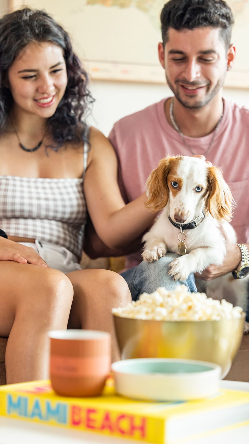 two people petting a small dog